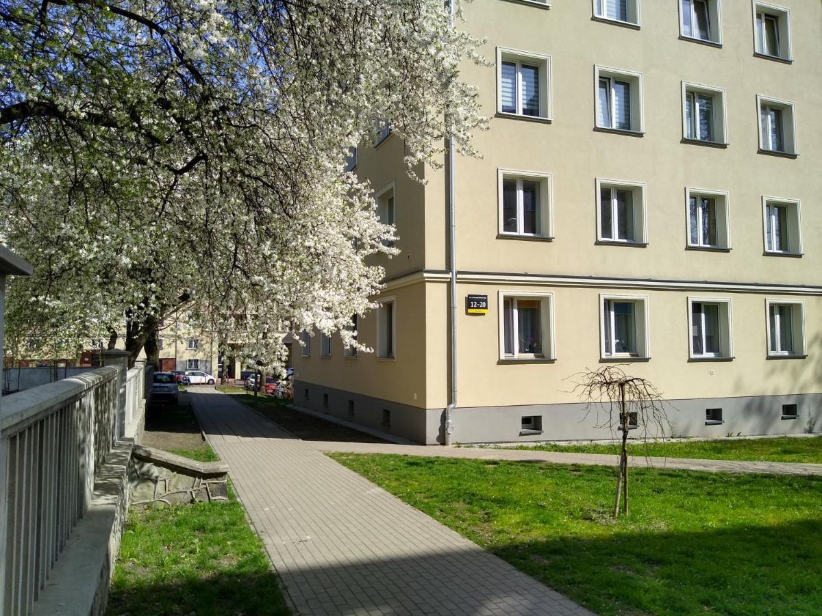 Apartment Bluebird Katowice Near Spodek Mck & City Center Exterior photo